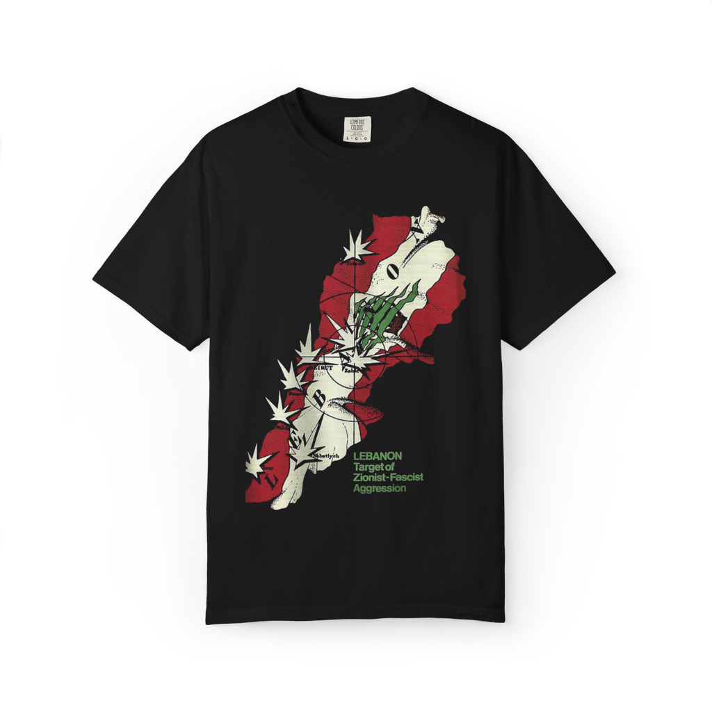 "Zionist agression" T-shirt