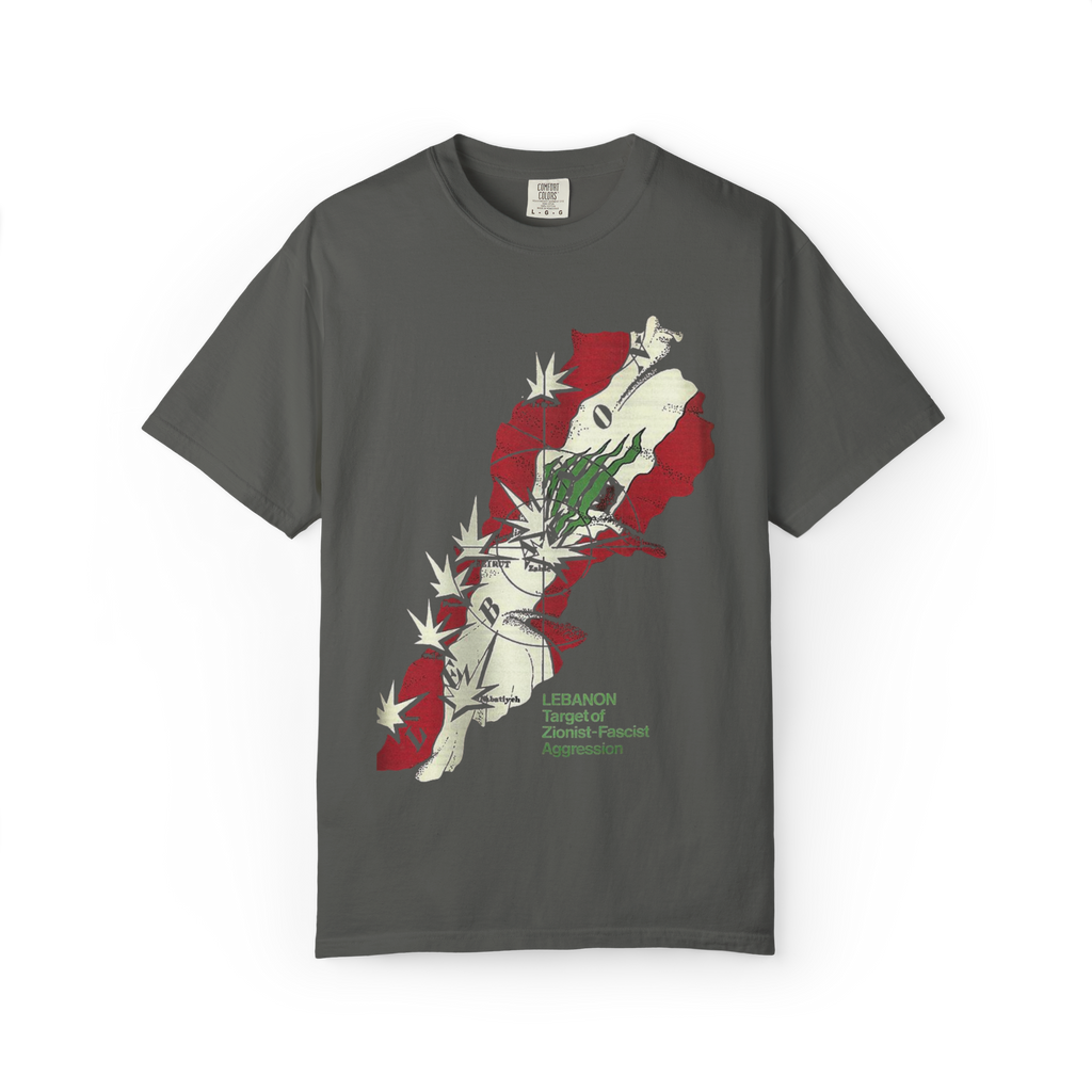"Zionist agression" T-shirt