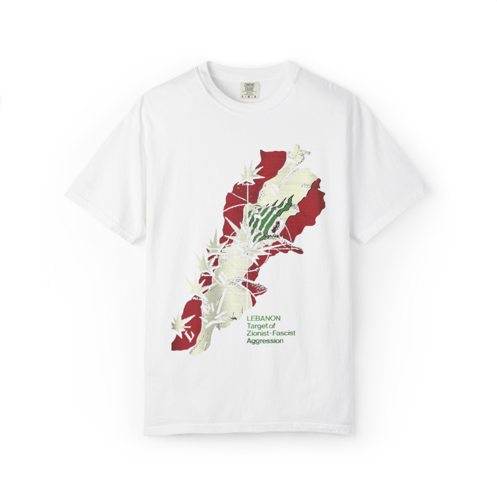 "Zionist agression" T-shirt