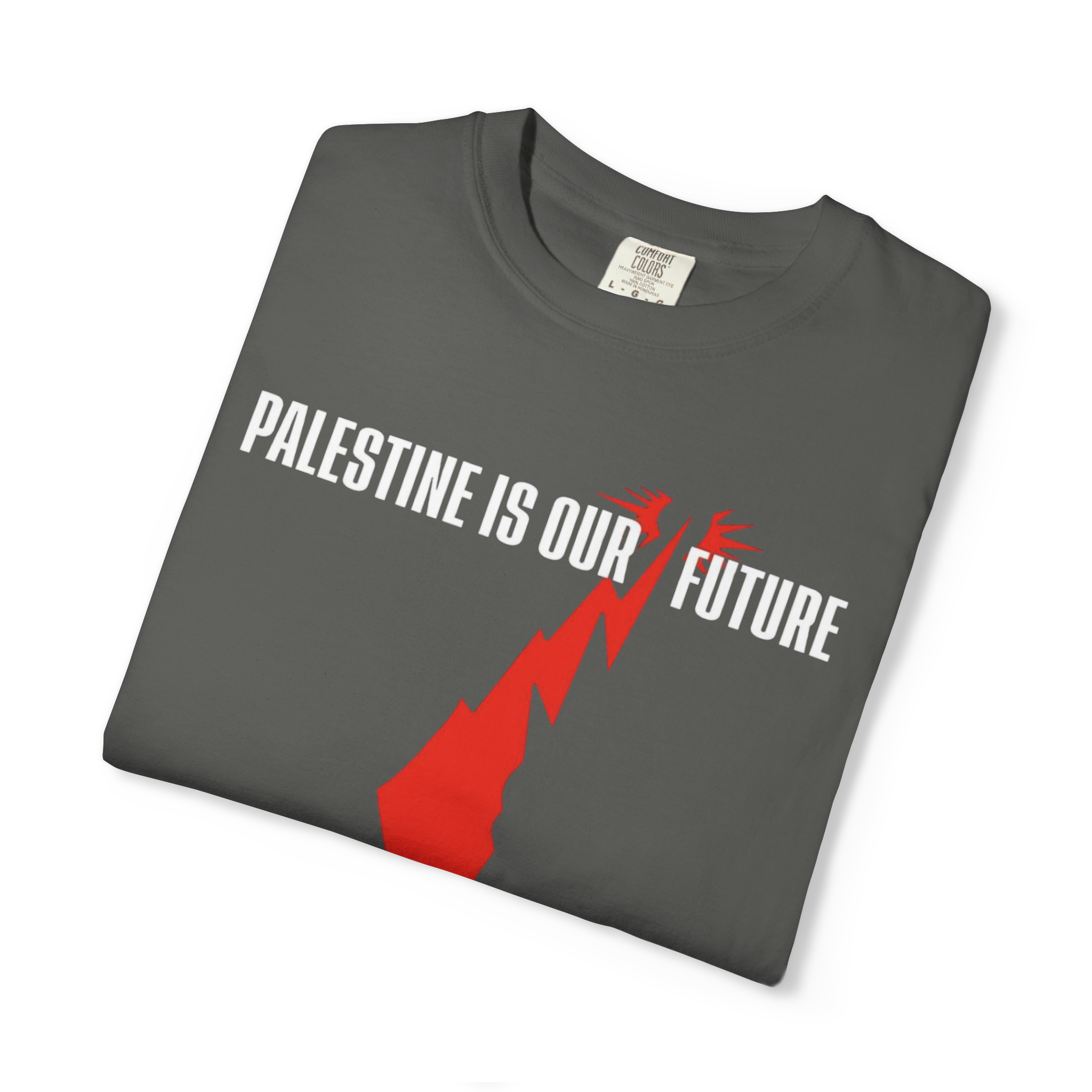 "Our Future" T-shirt