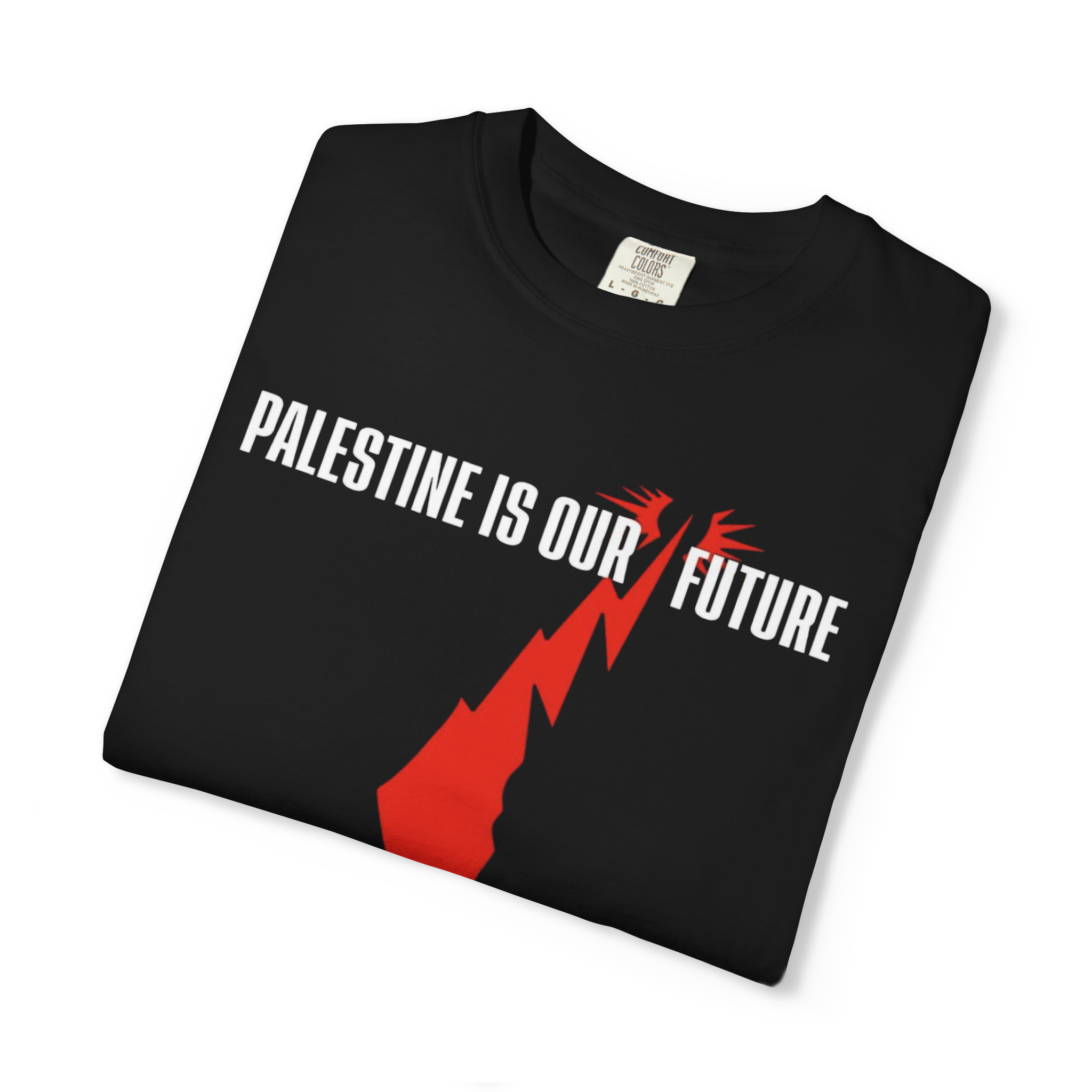 "Our Future" T-shirt