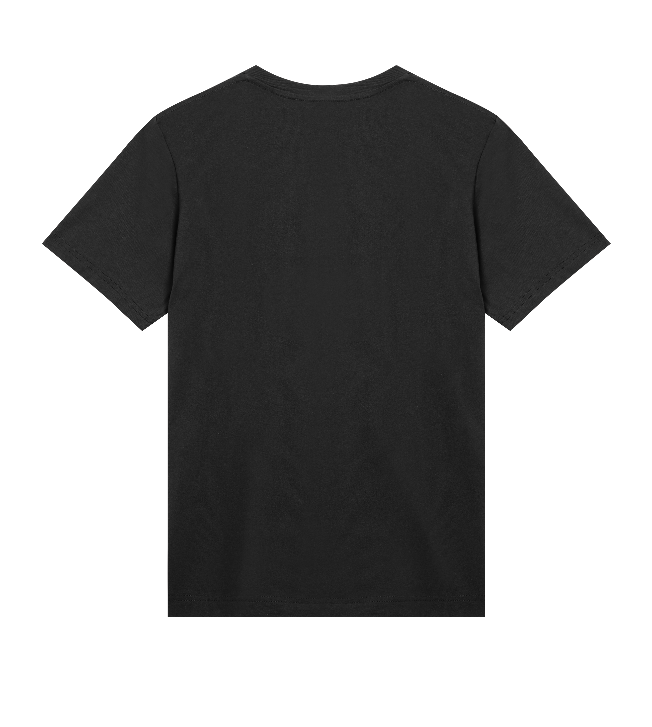 021 - Mens Regular Tee