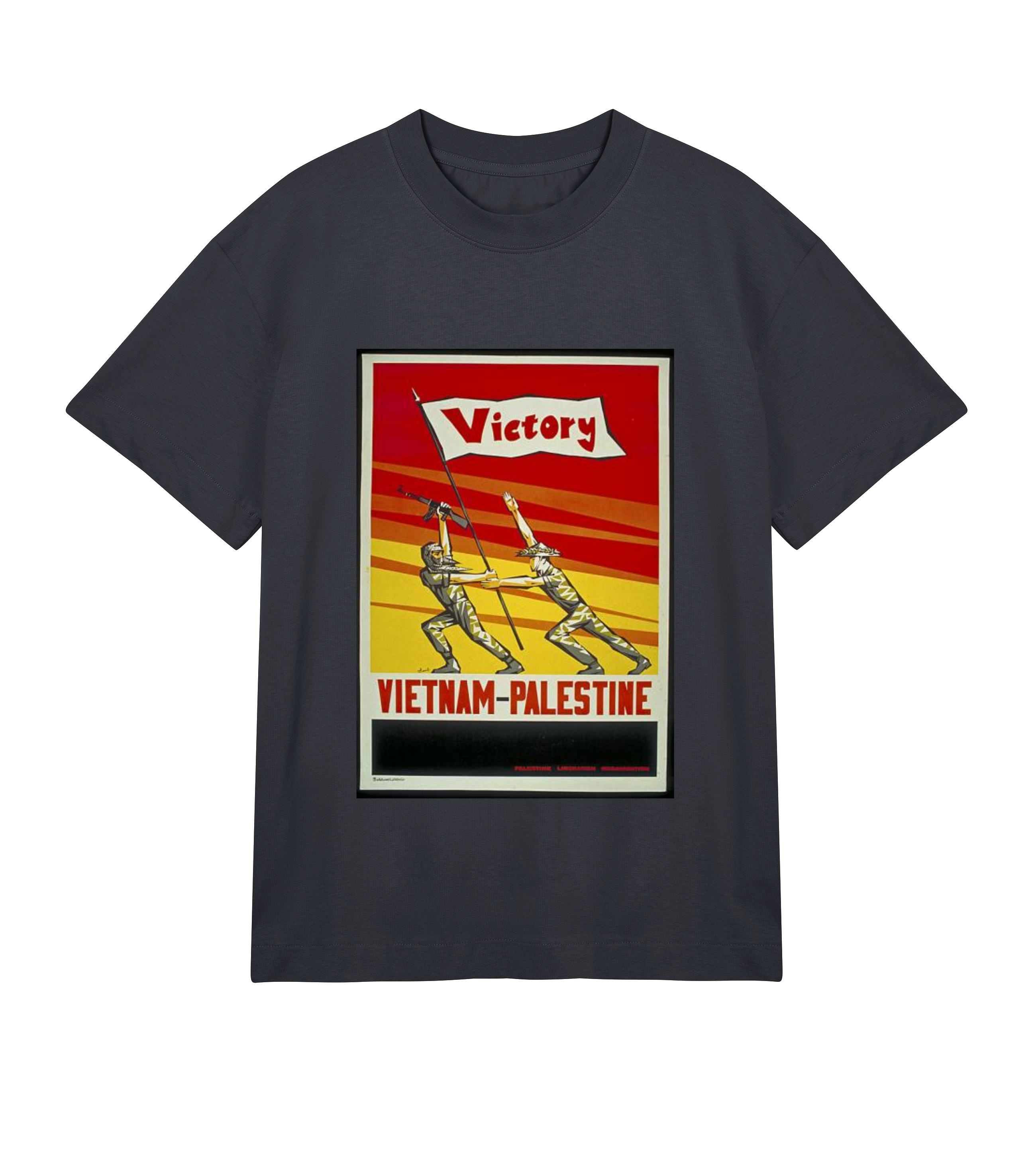 Vietnam - Palestine
